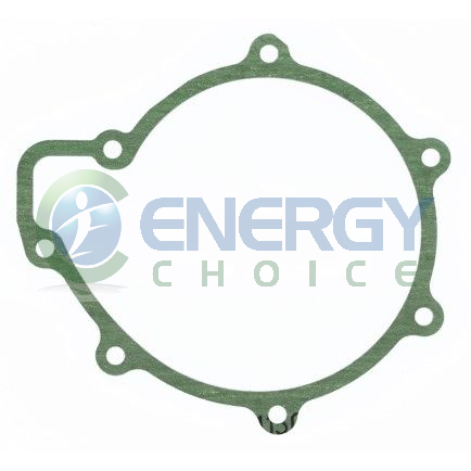 Gasket, Water Pump, Elring Klinger, 895.378